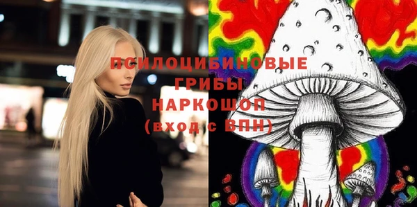 МДПВ Алексеевка